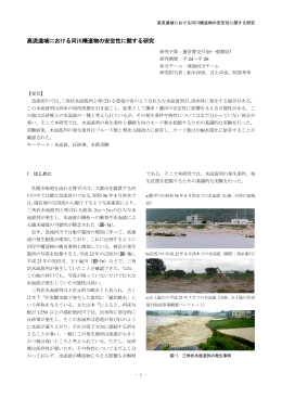 高流速域における河川構造物の安定性に関する研究