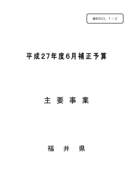 平成27年度6月補正予算 主 要 事 業
