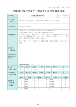 実践報告書（PDF形式：623KB）