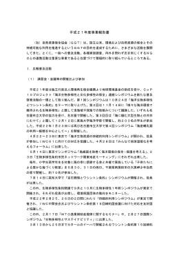 H21_事業報告書(PDF/52KB) - So-net