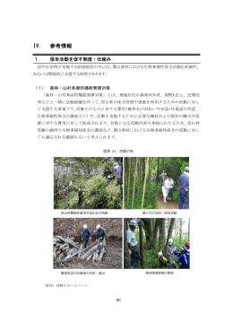 IV. 参考情報