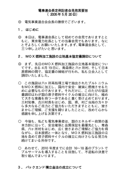 電事連会長定例記者会見発言要旨 （2005 年 5 月 20