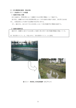 3 河川環境等の維持・保全対策[PDF：755KB]