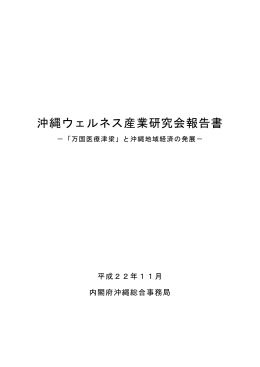 沖縄ウェルネス産業研究会報告書