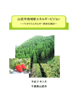 山武市地域新エネルギービジョン