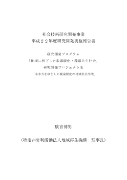 平成22年度研究開発実施報告書（PDF：855KB）