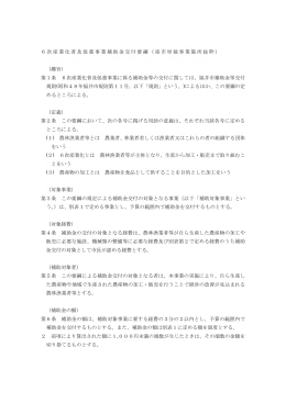 交付要綱（PDF形式 179キロバイト）