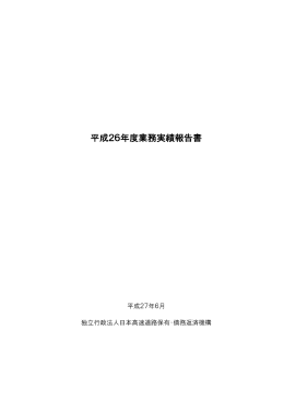 平成26年度 業務実績報告書