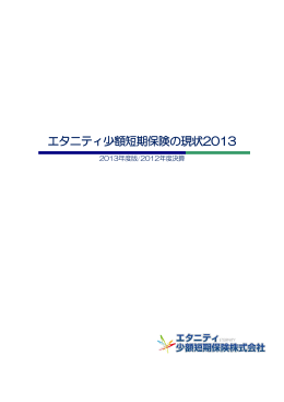 2013ディスクロージャー誌（PDF形式1.7MB）