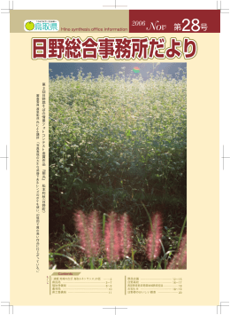 第28号 （平成18年11月）