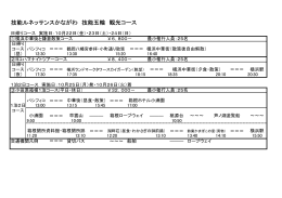 技能ルネッサンスかながわ 技能五輪 観光コース