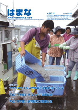 514号 - 静岡県/水産技術研究所