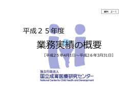平成25年度 業務実績の概要（PDF：885KB）