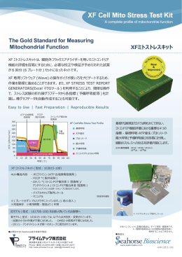 簡易パンフレット