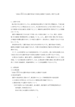 「表面に凹凸 がある護岸背面の空洞化を調査する技術