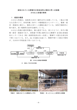 島根県 かわむら牧場（肉用牛）（PDF：365KB）
