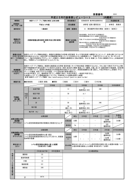 実践キャリア・アップ戦略の実施に必要な経費(PDF形式：32KB)