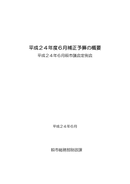 平成24年度6月補正予算の概要