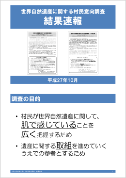 結果速報 - 小笠原村