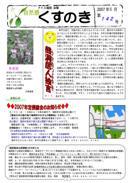 自然感くすのき 142号