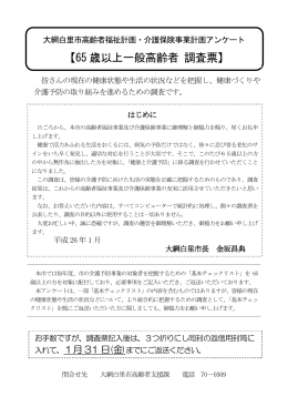 【65 歳以上一般高齢者 調査票】