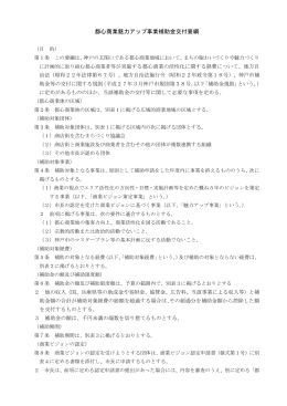 都心商業魅力アップ事業補助金交付要綱（PDF形式：145KB）