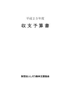 平成25年度 収支予算書