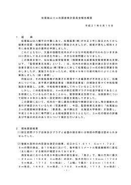 松尾鉱山3m坑調査検討委員会報告書（概要版）(pdf 形式 1.5MB