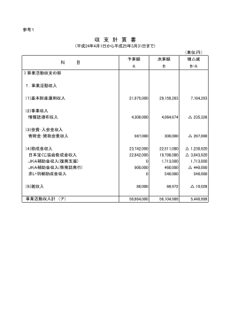 収 支 計 算 書