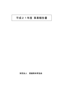 3.1事業報告書