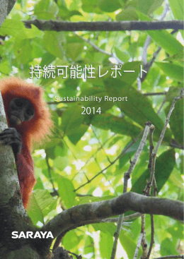 持続可能性レポート（PDF : 7.4MB）