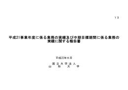 業務の実績に関する報告書