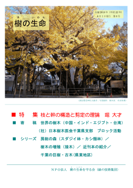 全記事のダウンロード（PDF 2.72MB）