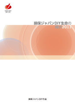 888百万円 - 損保ジャパン日本興亜ホールディングス