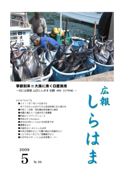 季節到来 !! 大漁に沸く日置漁港