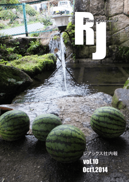 0 RJ vol.10