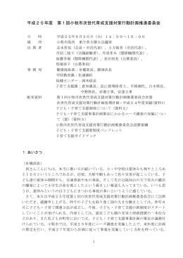 平成25年度第1回会議 （PDF 240.9KB）