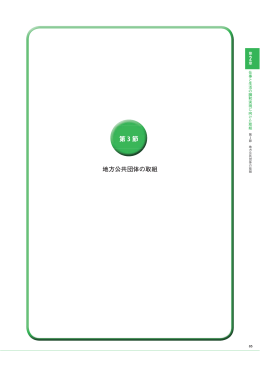第3節 地方公共団体の取組