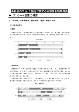 高齢者の生活・介護等に関する実態調査結果概要 アンケート