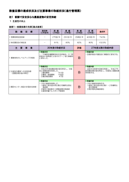 数値目標の達成状況及び主要事業の取組状況（進行管理票） B