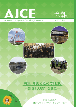 全文（PDF3MB） - (公社)日本コンサルティング・エンジニア協会