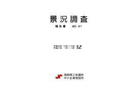 平成20年10～12月期報告書