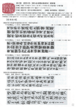 配布パンフレット（PDF）