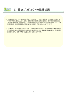 Ⅱ 重点プロジェクトの進捗状況