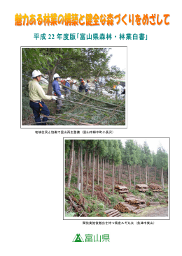 平成 22 年度版｢富山県森林・林業白書｣