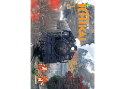 1N 20