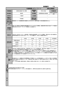 事業番号 113 行政事業レビューシート (厚生労働省)