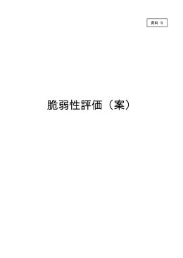 【資料5】脆弱性評価案（PDF：209KB）