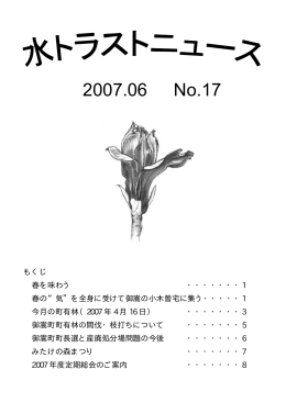 2007.06 No.17
