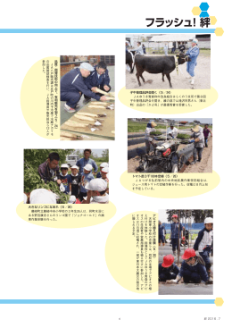 フラッシュ！絆 フラッシュ！絆